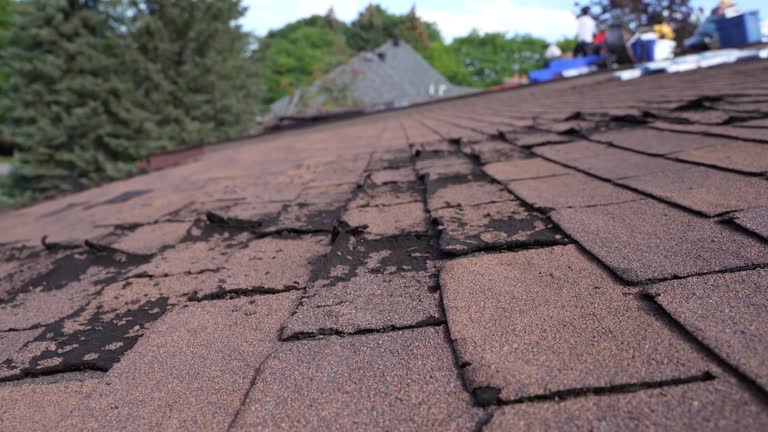 Best Emergency Roof Repair Services  in Picnic Point, WA